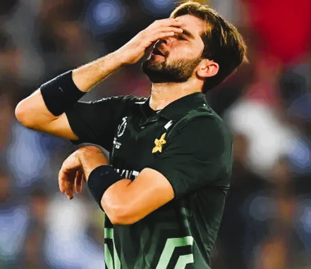 shaheen afridi